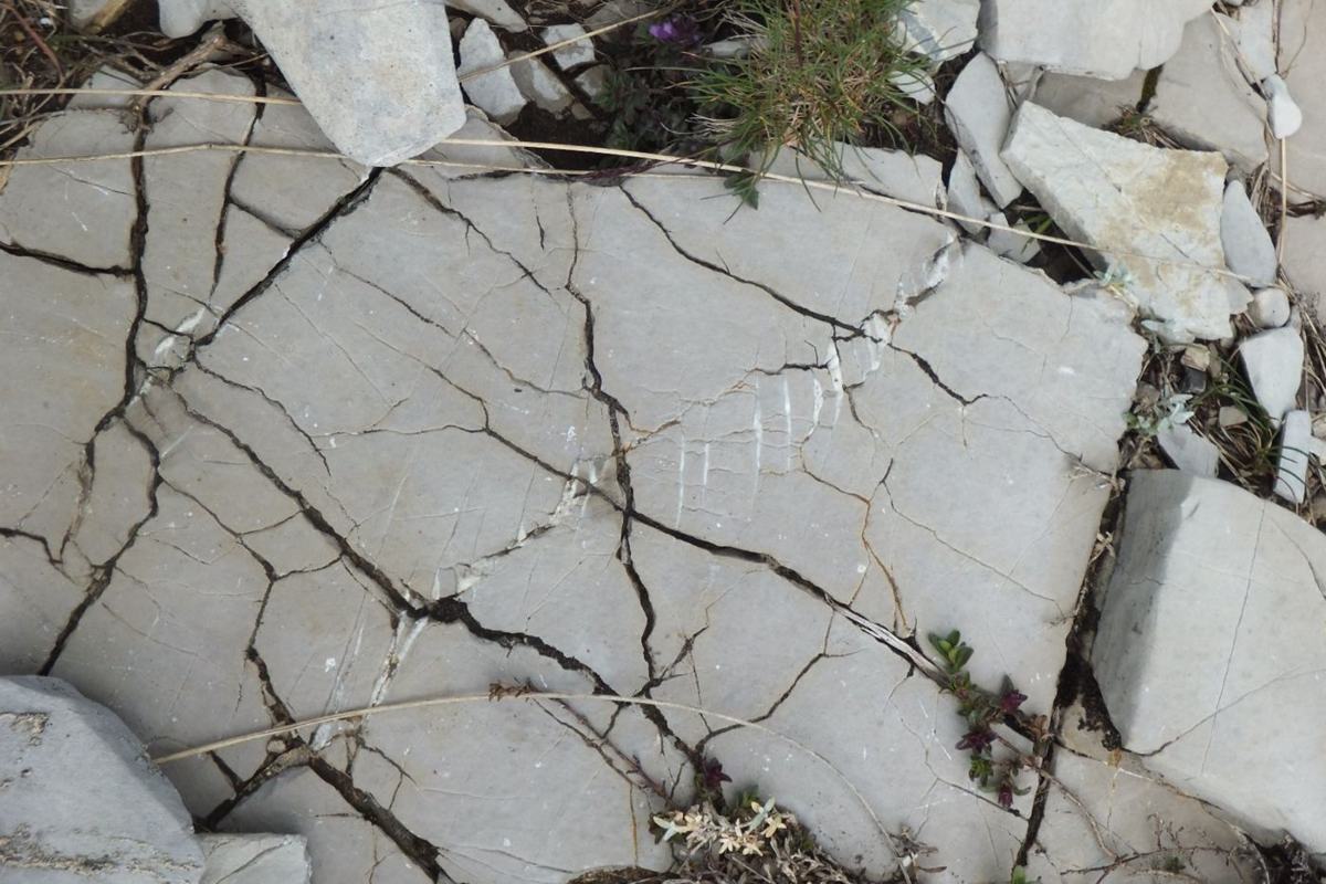 Roccia fratturata in affioramento